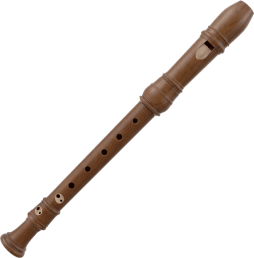 Recorder Instruments Notessimo